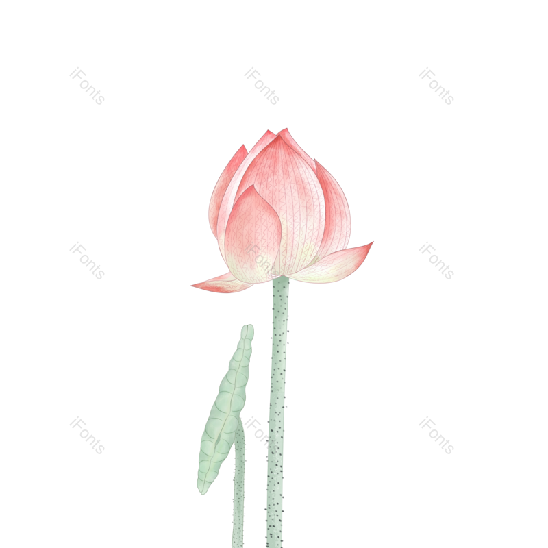 水墨图片,荷花元素,莲花PNG,荷叶免抠素材